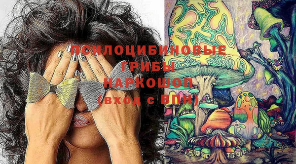 дмт Абинск