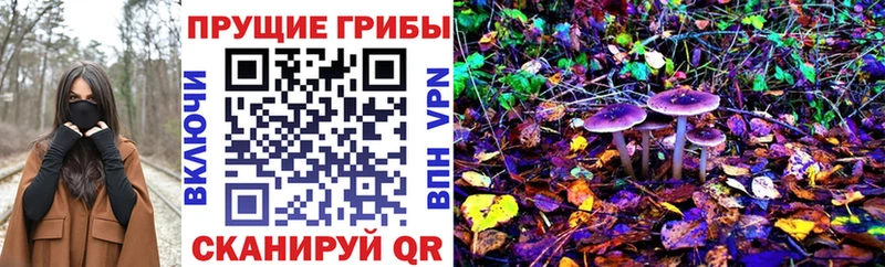 Галлюциногенные грибы Psilocybine cubensis Цимлянск